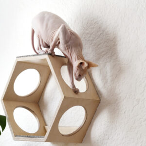 Cat Wall Play Area